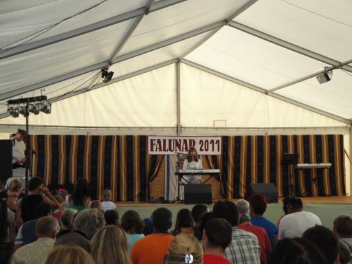 Falunap 2011 Krizbai Teca