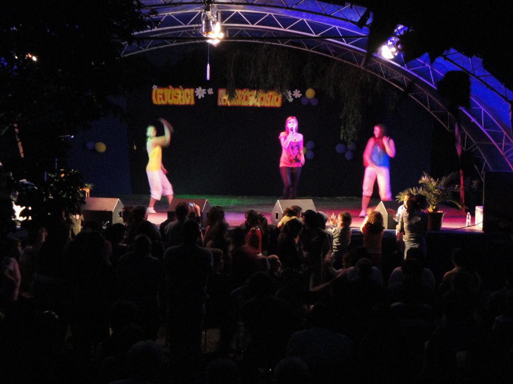 Jászalsószentgyörgyi Ifjúsági nyárköszöntő party 2010 /modul/gallery/images/1/84.jpg
